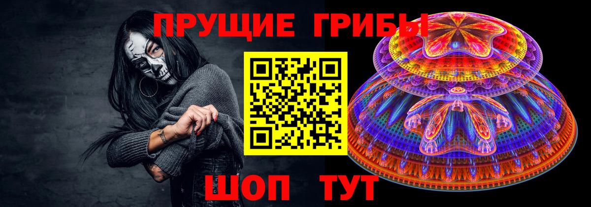 Галлюциногенные грибы GOLDEN TEACHER  Вход с VPN  Галлюциногенные грибы MAGIC MUSHROOMS  Знаменск 
