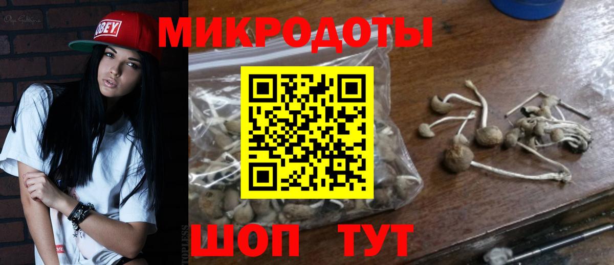 Галлюциногенные грибы прущие грибы Знаменск